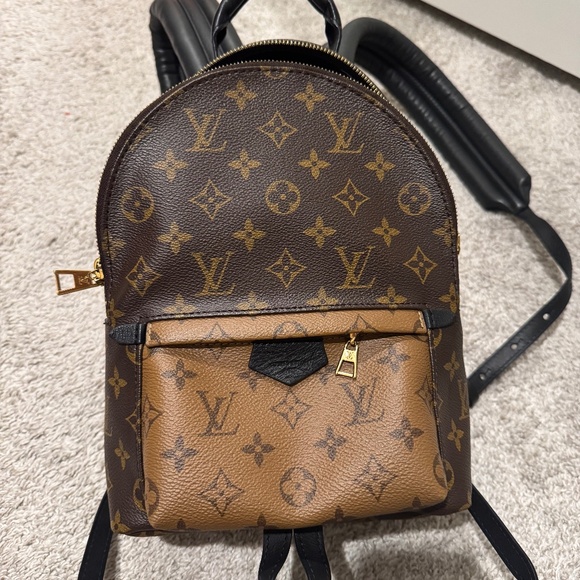 Louis Vuitton Reverse Palm Springs PM Backpack - Picture 1 of 2